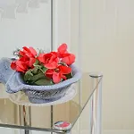 Casa Patrizia By Portofinovacanze Apartment Rapallo